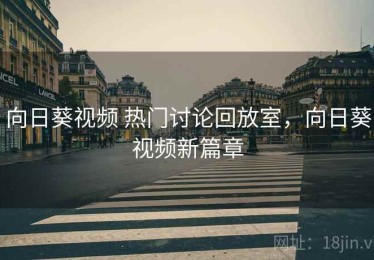 向日葵视频 热门讨论回放室，向日葵视频新篇章