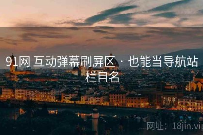 91网 互动弹幕刷屏区 · 也能当导航站栏目名