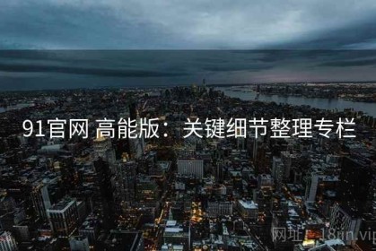 91官网 高能版：关键细节整理专栏