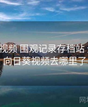 向日葵视频 围观记录存档站 全记录，向日葵视频去哪里了