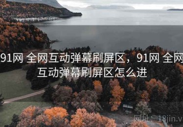 91网 全网互动弹幕刷屏区，91网 全网互动弹幕刷屏区怎么进