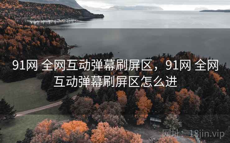 91网 全网互动弹幕刷屏区，91网 全网互动弹幕刷屏区怎么进