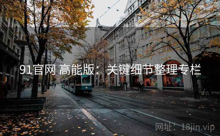 91官网 高能版：关键细节整理专栏